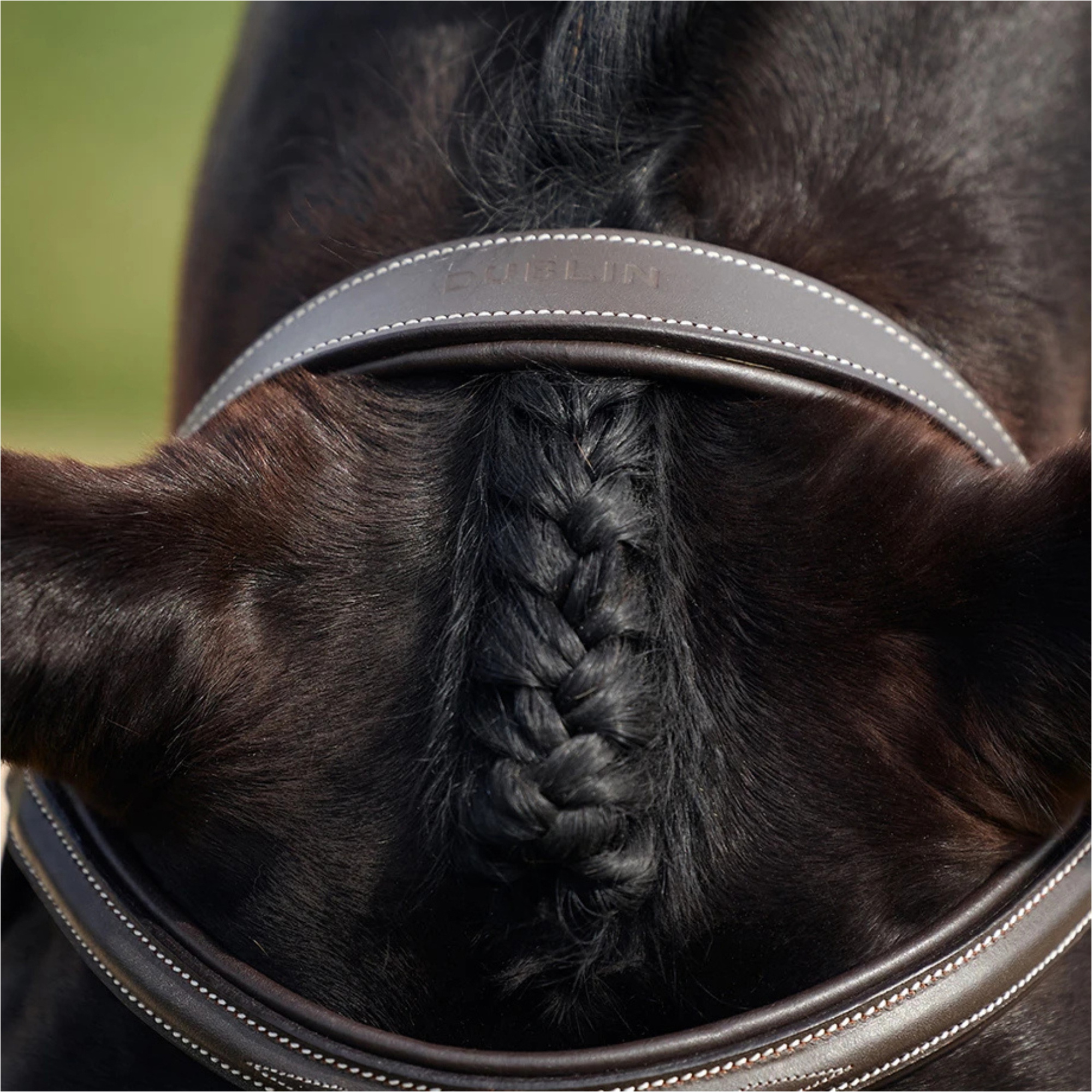 2026 Dublin Padded Mono Crown Fancy Stitch Hunt Bridle 1031496 - Brown